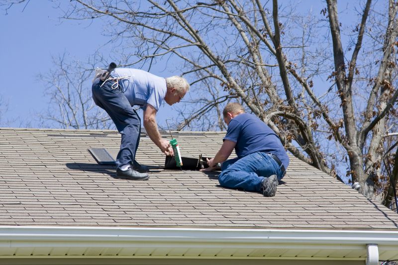 Shingle Repair Service